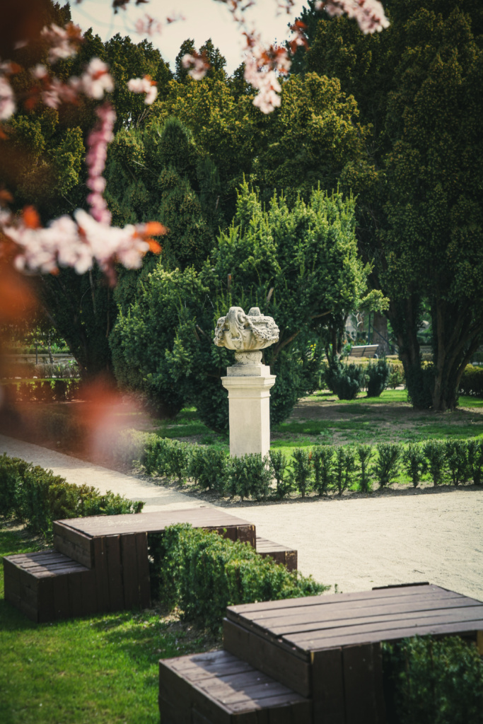 Žardiniera a magnólia: Foto Lucia Mandincova