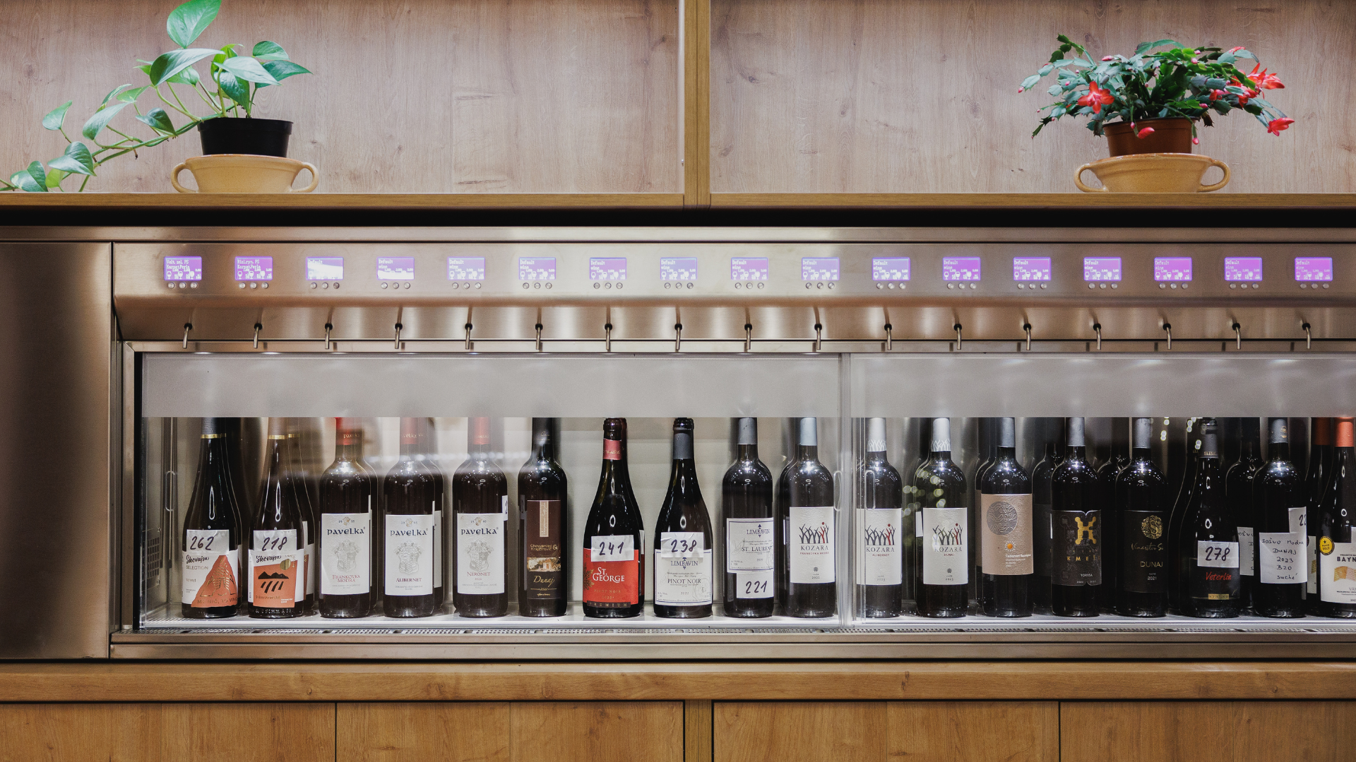 Fľaše vína v enomate