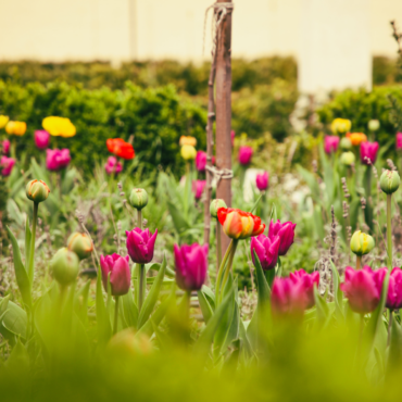 Posledný aprílový týždeň v kaštieli: keramika, víno aj svet výtvarného umenia