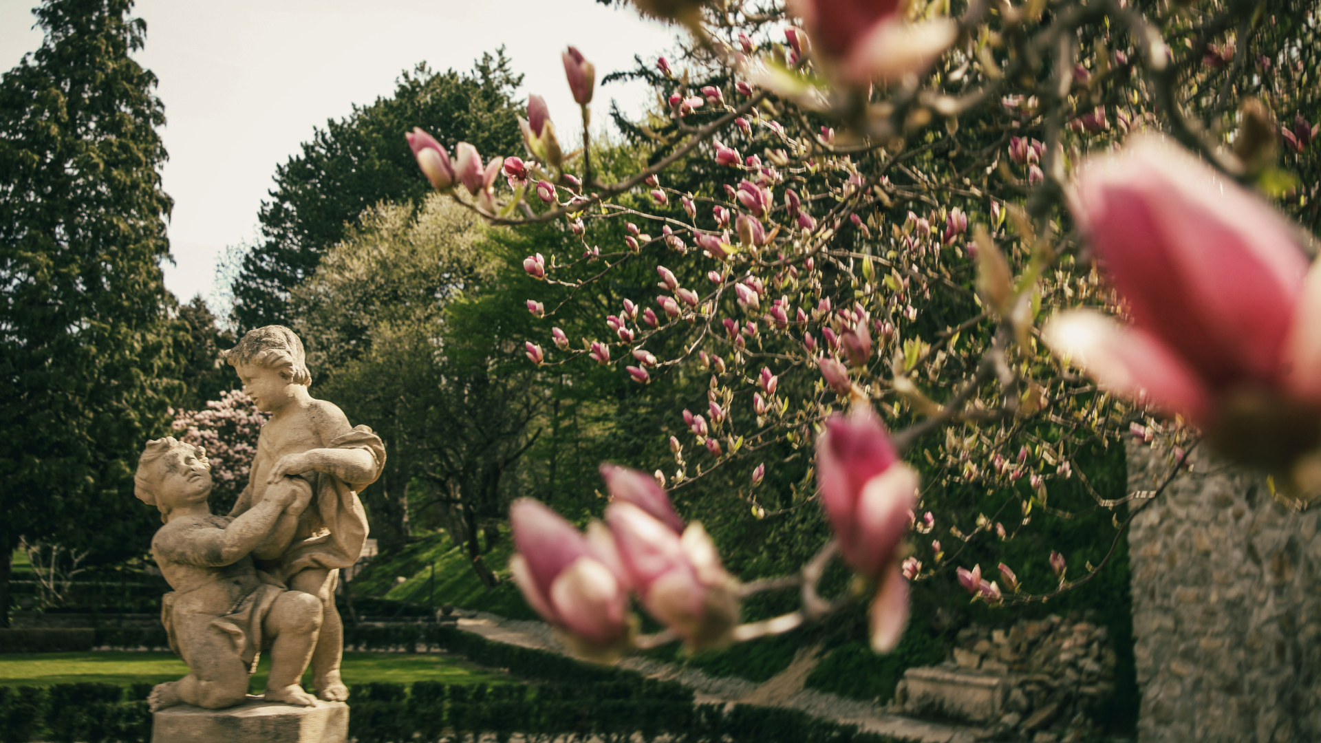 Dve sochy a magnólia